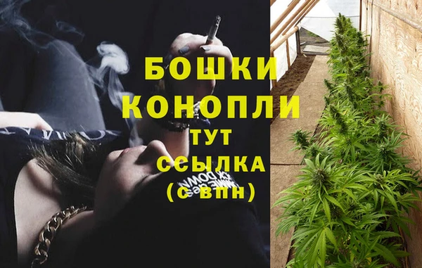 марки nbome Вяземский