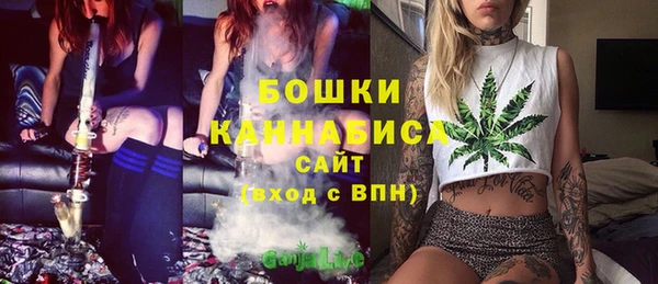 хмурый Вязьма