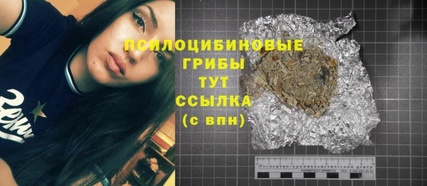 прущие грибы Волоколамск