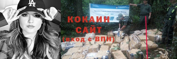прущие грибы Волоколамск