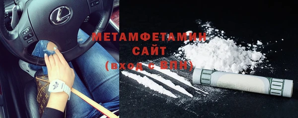 прущие грибы Волоколамск